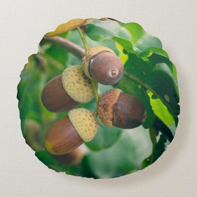 Cojín Redondo Ramas de roble con bellotas (Anverso)
