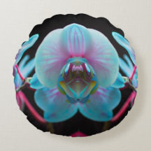 Reflexión Exótica de Orquídea Azul