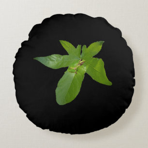 Cojín Redondo "Refugio de Leafy: una pequeña rana verde en una h