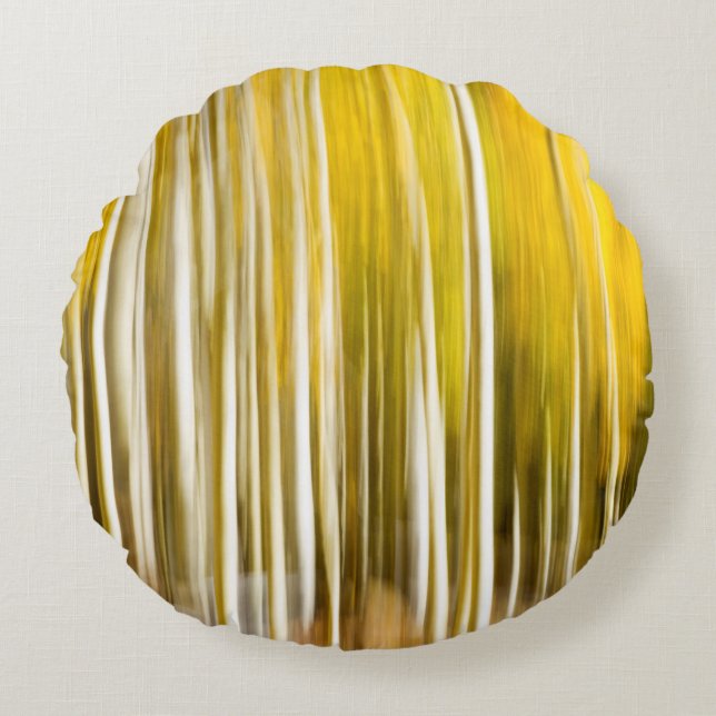 Cojín Redondo Resumen de Aspen (Anverso)