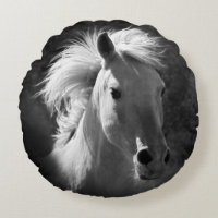 Retrato de caballo V