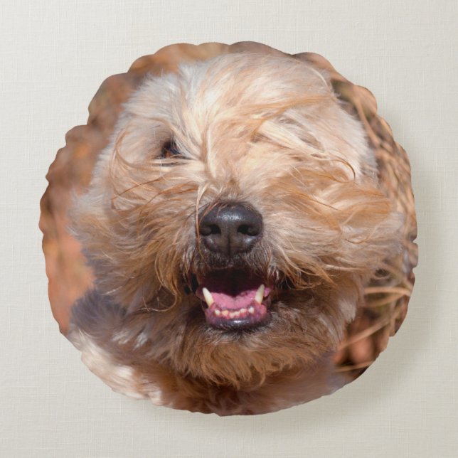 Cojín Redondo retrato de Soft Coated Wheaten Terrier (Anverso)