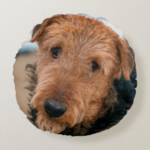 Cojín Redondo Retrato de un Airedale Terrier