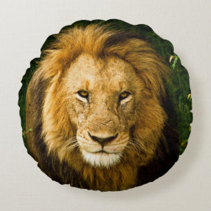 COJÍN REDONDO REY DE LEÓN EN LA JUNGLE