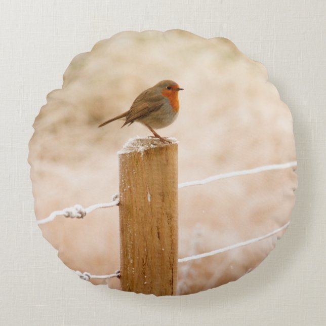 Cojín Redondo Robin Redmama (Anverso)