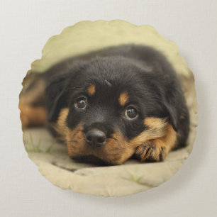 Cojín Redondo Rottweiler20150901