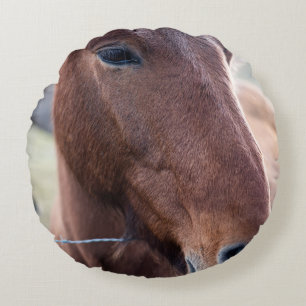 COJÍN REDONDO SAD HORSE