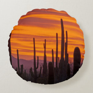 Cojín Redondo Saguaro, puesta de sol, Parque Nacional Saguaro