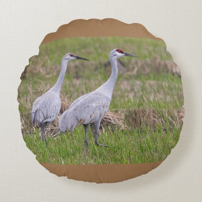 Cojín Redondo Sand Hill Cranes Pillow (Anverso)
