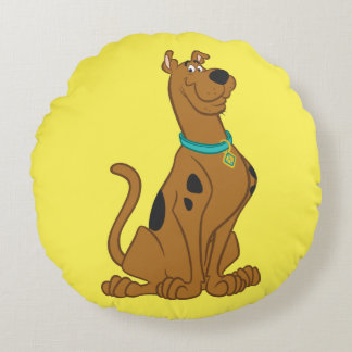 Cojín Redondo Scooby-Doo Cuter Thate