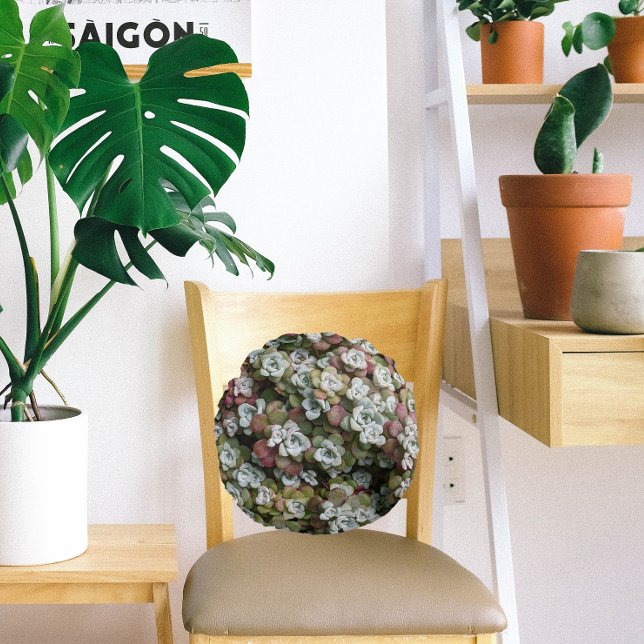 Cojín Redondo Sedum Spathulifolium Suculum Succuloral (In Situ Chair)