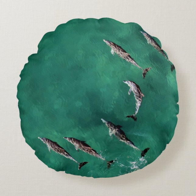 COJÍN REDONDO SEIS DELFINES EN AGUA TRANQUILA (Anverso)