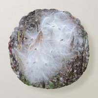 Semillas de almirez y seda