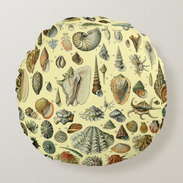 Cojín Redondo Shell de conchas marinas Mollusk Clam Elegante Art (Anverso)