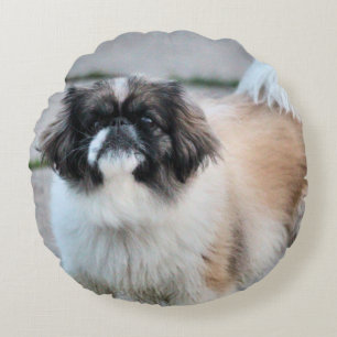 Cojín Redondo Shih Tzu