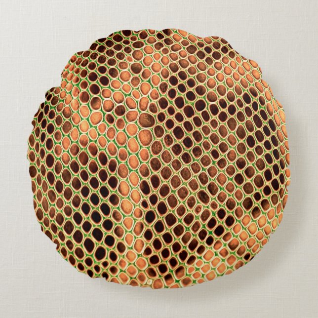 Cojín Redondo Snake skin background (Anverso)