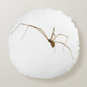 Cojín Redondo Spider