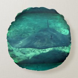 Cojín Redondo Sting Ray