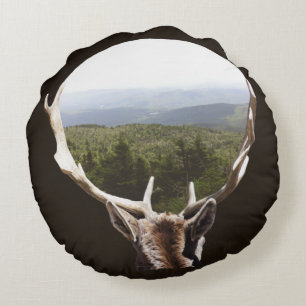 Cojín Redondo Su dominio