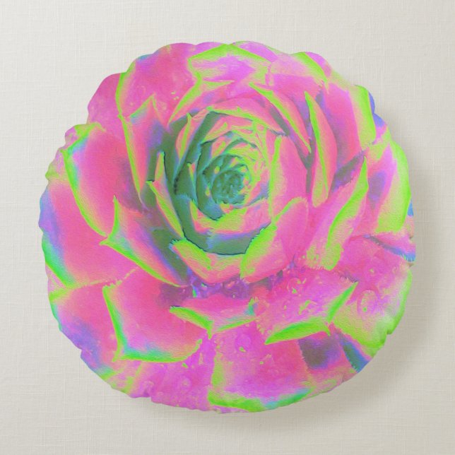 Cojín Redondo Suculento rosette de sedum verde limón y rosa (Anverso)