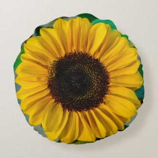 Cojín Redondo Supremo del girasol