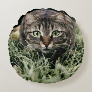 Cojín Redondo Tabby el gato doméstico