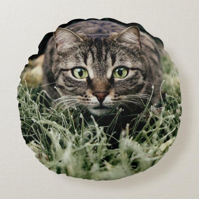 Cojín Redondo Tabby el gato doméstico (Anverso)