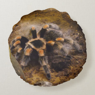 Cojín Redondo Tarantula Round Pillow