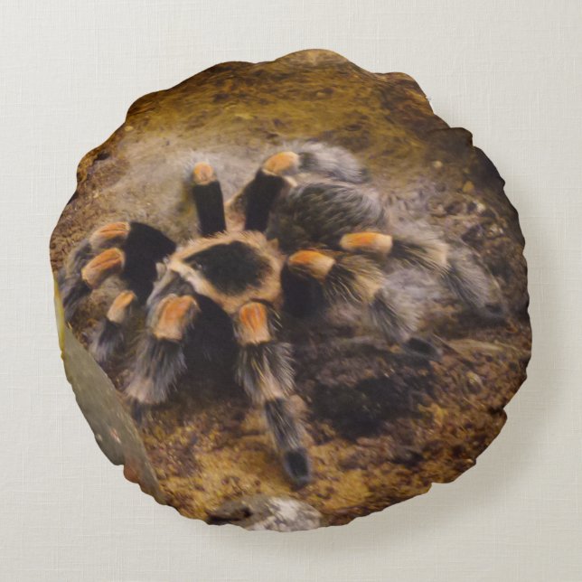 Cojín Redondo Tarantula Round Pillow (Reverso)