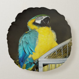 Cojín Redondo Taz...