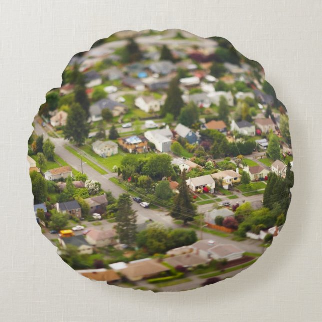 Cojín Redondo Técnica #1- inclinable/lentes del cambio (Anverso)