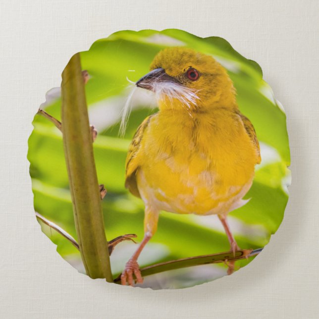 Cojín Redondo Tiempo de construir el nido (Anverso)