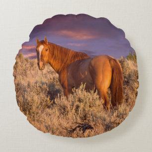 Cojín Redondo Torneo de Harney