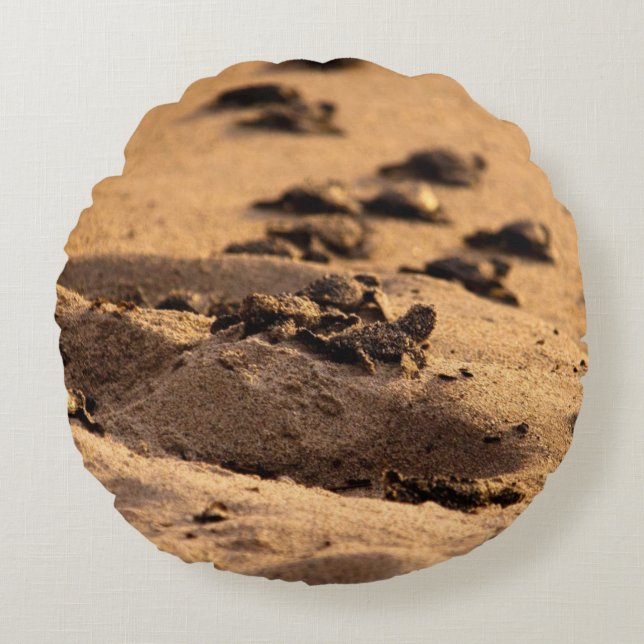 Cojín Redondo Tortugas de mar (Anverso)