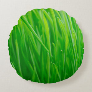 Cojín Redondo Trigo verde vibrante fresco 