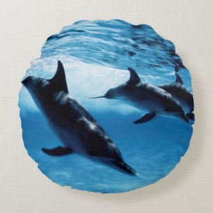 Cojín Redondo Trío de delfines