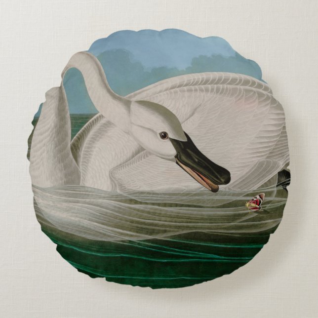 Cojín Redondo Trumpeter Swan Birds of America Audubon Print (Anverso)
