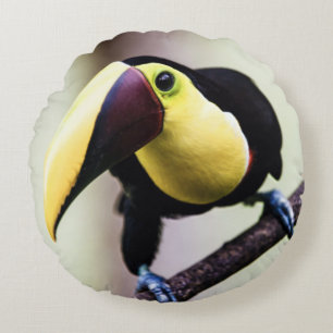 Cojín Redondo Turco de Costa Rica