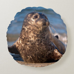 Cojín Redondo Un foco de bebé se acerca a la piscina infantil