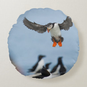 COJÍN REDONDO UN PUFFIN ATLÁNTICO ENTRANDO EN TIERRA CON SU ALA
