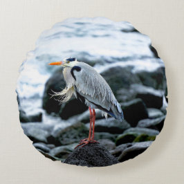 Cojín Redondo Una garra solitaria