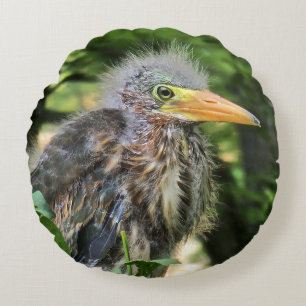Cojín Redondo Una garza verde