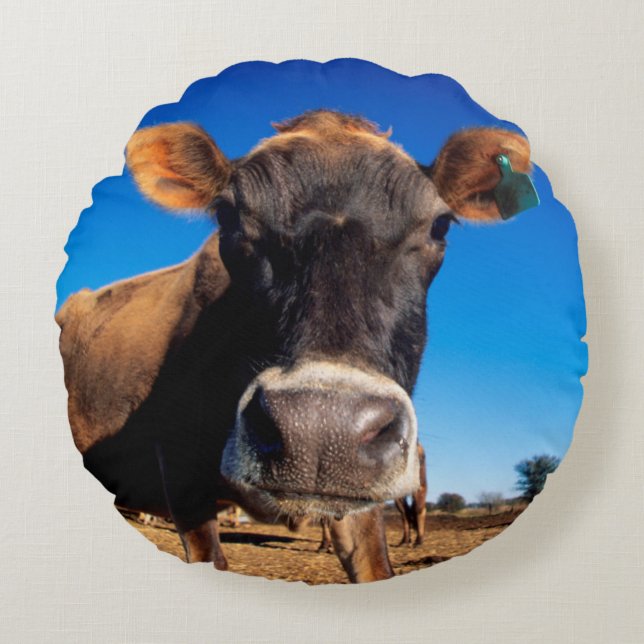 Cojín Redondo Una vaca Jersey siendo curiosa (Anverso)