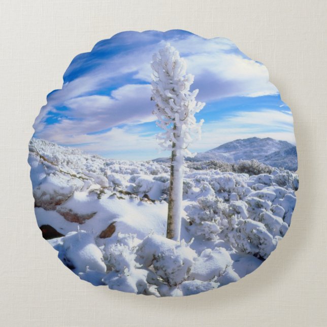 Cojín Redondo Una yuca cubierta de nieve (Anverso)
