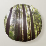 Cojín Redondo Up to Redwoods in the Morning<br><div class="desc">On our second trip to Muir Woods National Monument,  we arrived just as they were opening and were treated to sunrise scenes in the majestic trees like this one.  This photo is also featured as the widescreen wallpaper "Up to Redwoods in the Morning" from www.MLeWallpapers.com.</div>