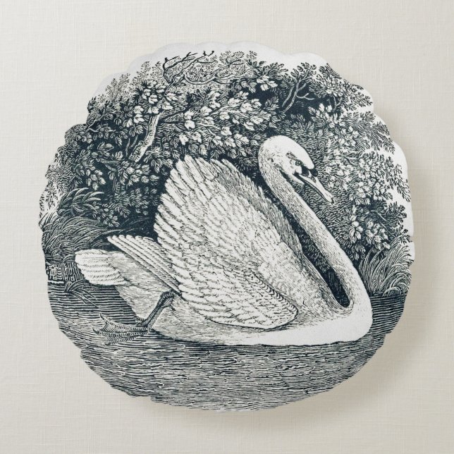 Cojín Redondo Vintage White Swan de Thomas Bewick (Anverso)