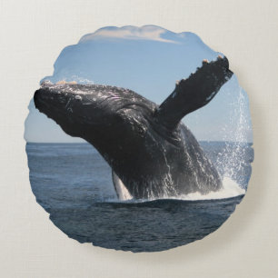 Cojín Redondo Violación adulta de la ballena jorobada