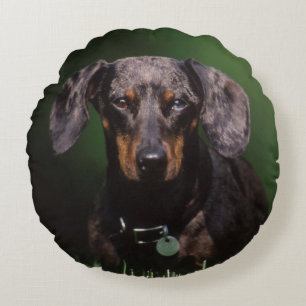 Cojín Redondo Vista de Dachshund de color moteado