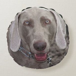 Cojín Redondo Weimaraner