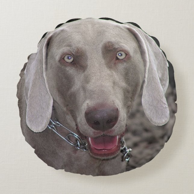 Cojín Redondo Weimaraner (Anverso)